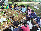 見沼たんぼの風景